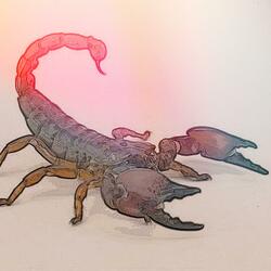 Scorpion