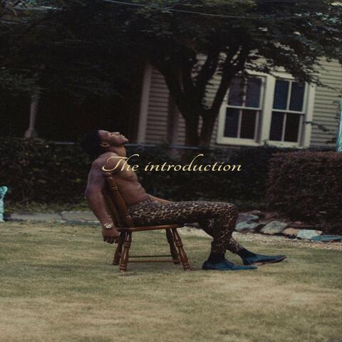 The Introduction