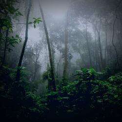 Electricity and Energy