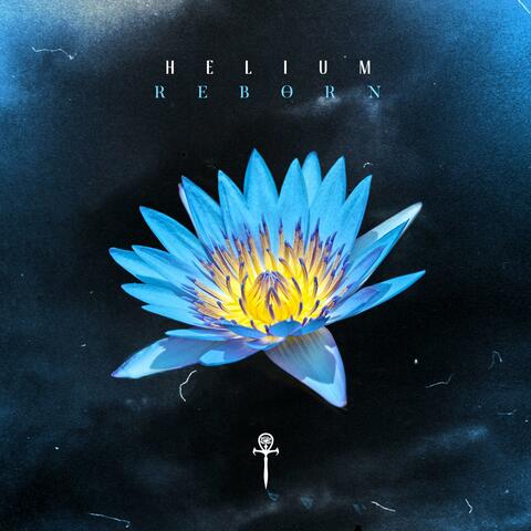 Reborn