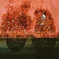 Cassowaries and Plums