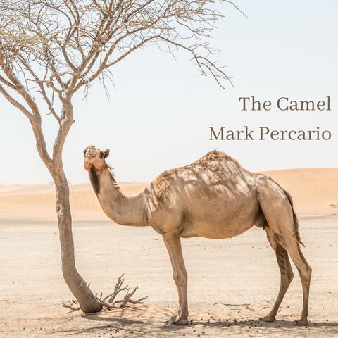 The Camel