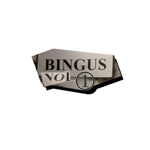 Bingus Music, Vol. 1