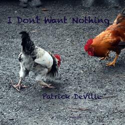 I Don't Want Nothing