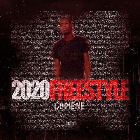 2020 Freestyle