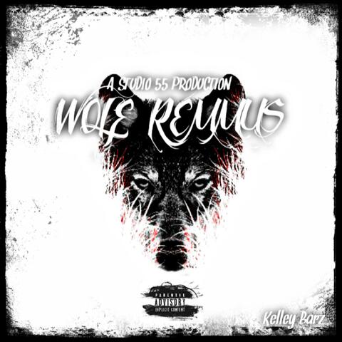 Wolf Remmus