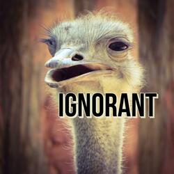 Ignorant