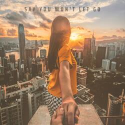 Say You Won't Let Go