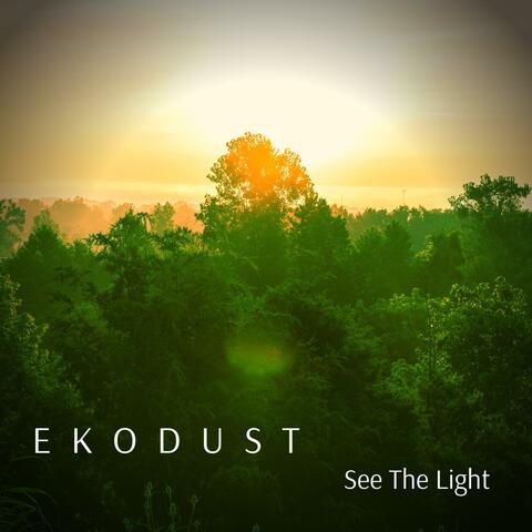 See the Light