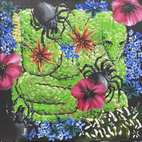 Snakes & Spiders