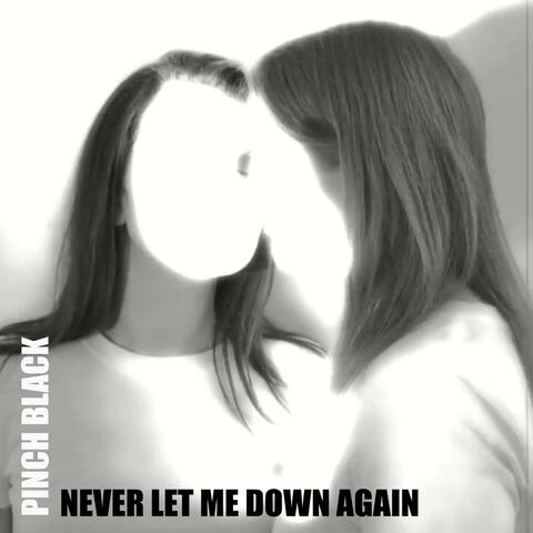 Never Let Me Down Again