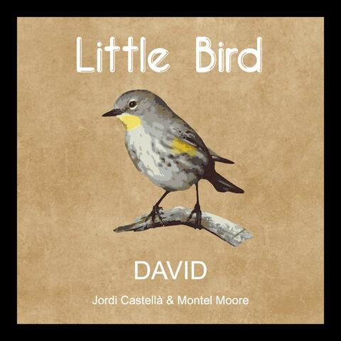 Little Bird