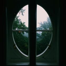 A Leaf Falls from a Tree and Comes to Rest in a Bowl of Water