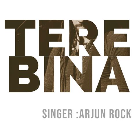 Tere Bina