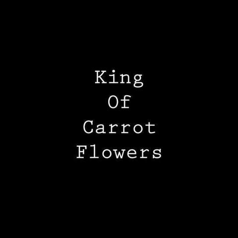 King of Carrot Flowers