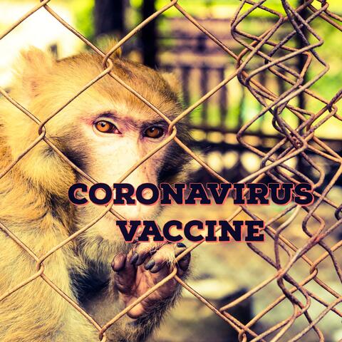 Coronavirus Vaccine