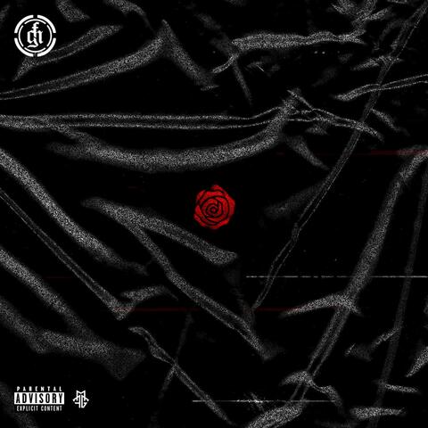 Soufsiiide Rose