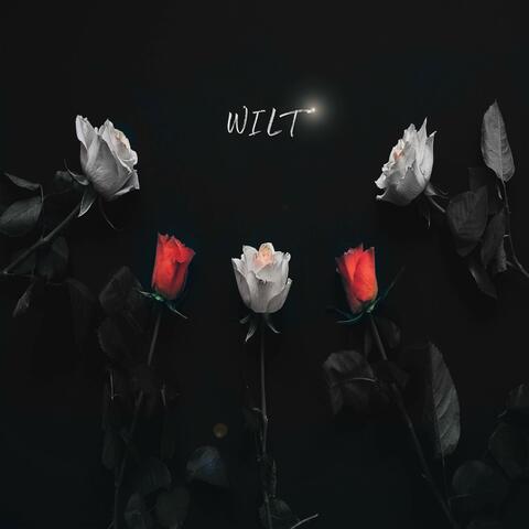 Wilt