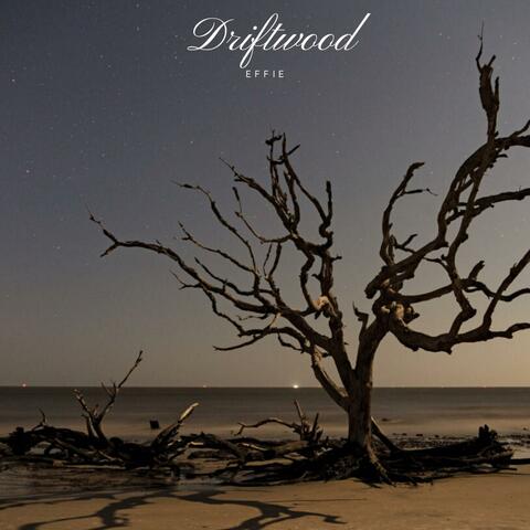 Driftwood