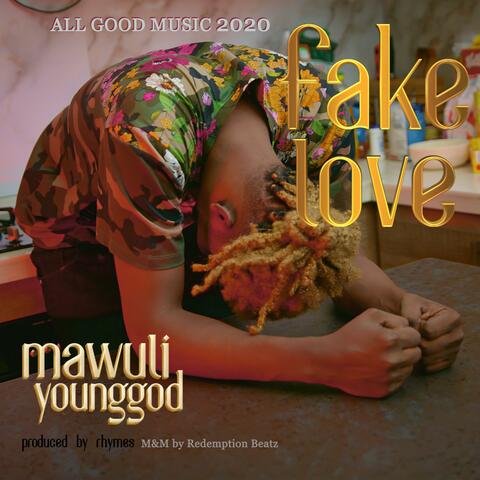 Fake Love