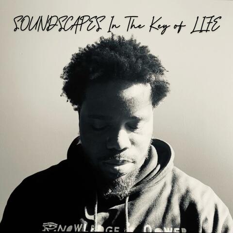 Soundscapes in the Key of Life