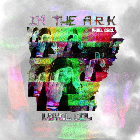 In the ARK