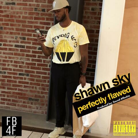 Perfectly Flawed