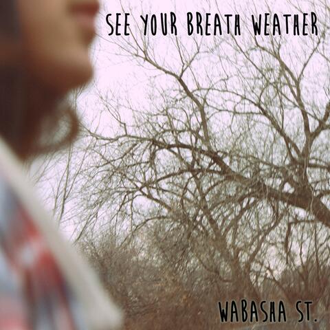 Wabasha St.