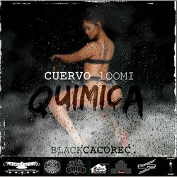 Quimica