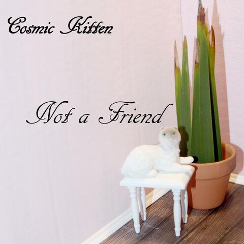 Not a Friend