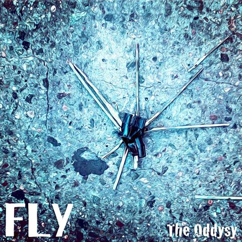 FLY