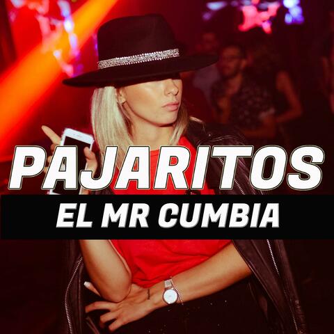 Pajaritos