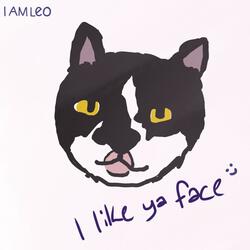 I Like Ya Face