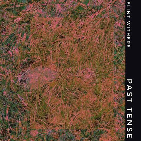 Past Tense