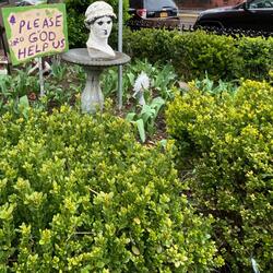 Artificial Transitions