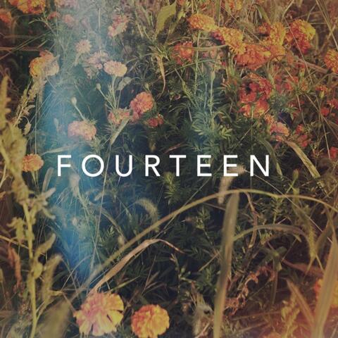 Fourteen