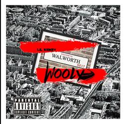 Wooly Rd (Walworth Rd)