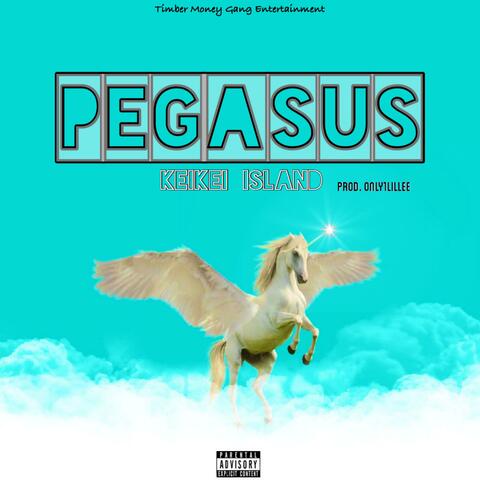 Pegasus