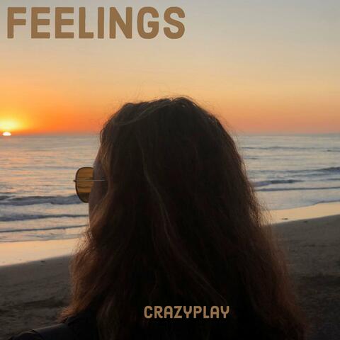 Feelings