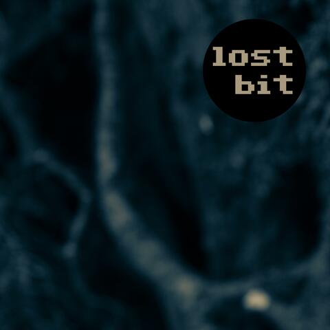 lost bit