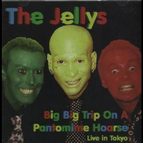 Big Big Trip On A Pantomime Hoarse