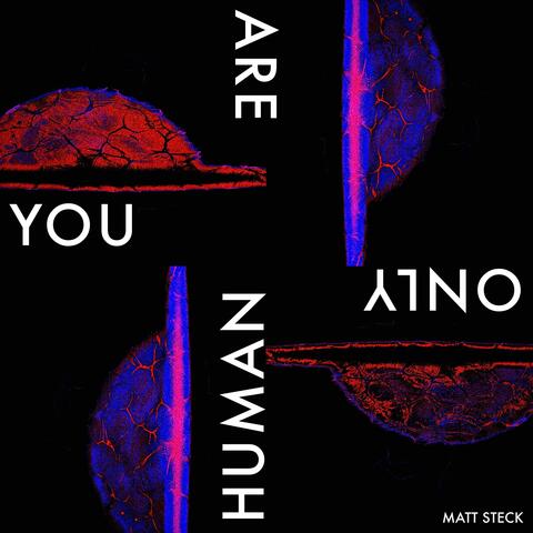 You Are Only Human