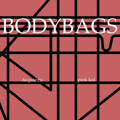Bodybags (feat. Dequantis)