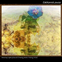 Dancing Light & Sound (Twenty Seven Twenty-Nine)
