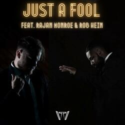 Just a Fool (feat. RaJan Monroe & Rob Hein)