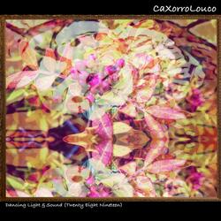 Dancing Light & Sound (Twenty Eight Nineteen)