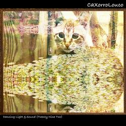 Dancing Light & Sound (Twenty Nine Two)