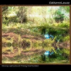 Dancing Light & Sound (Twenty Nine Fourteen)