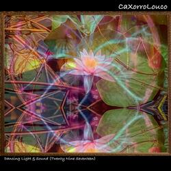 Dancing Light & Sound (Twenty Nine Seventeen)