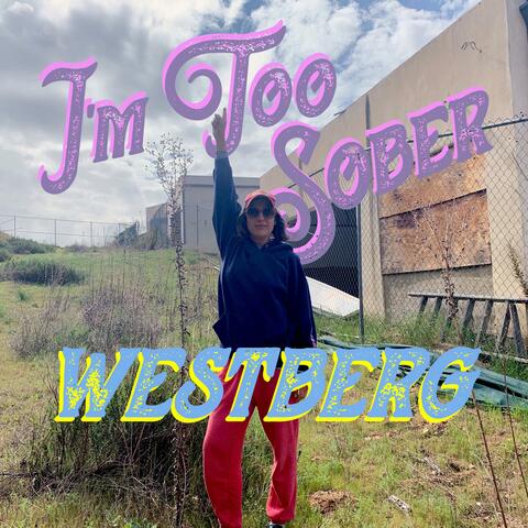 I'm Too Sober